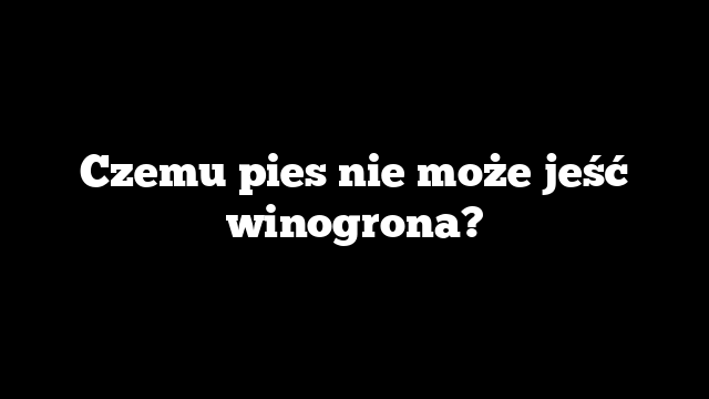 Czemu pies nie może jeść winogrona?