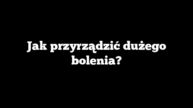 Jak przyrządzić dużego bolenia?
